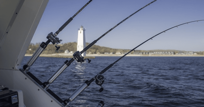 Public Bottom Fishing in Panama City, Florida - 6 Hour Charter