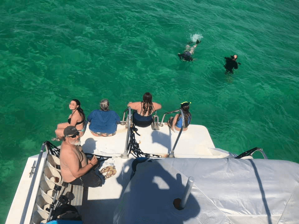 Dolphin & Snorkeling Tour - Captain Coach - Up to 6 Passengers (Split Charters or Private) 2 hours | Dolphin in Panama City Beach, Florida