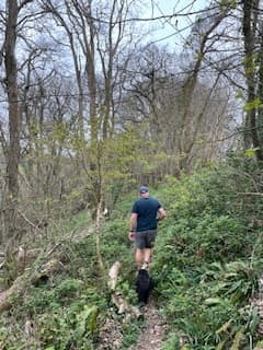 Woodland Walking with Looe and Beyond in Cornwall