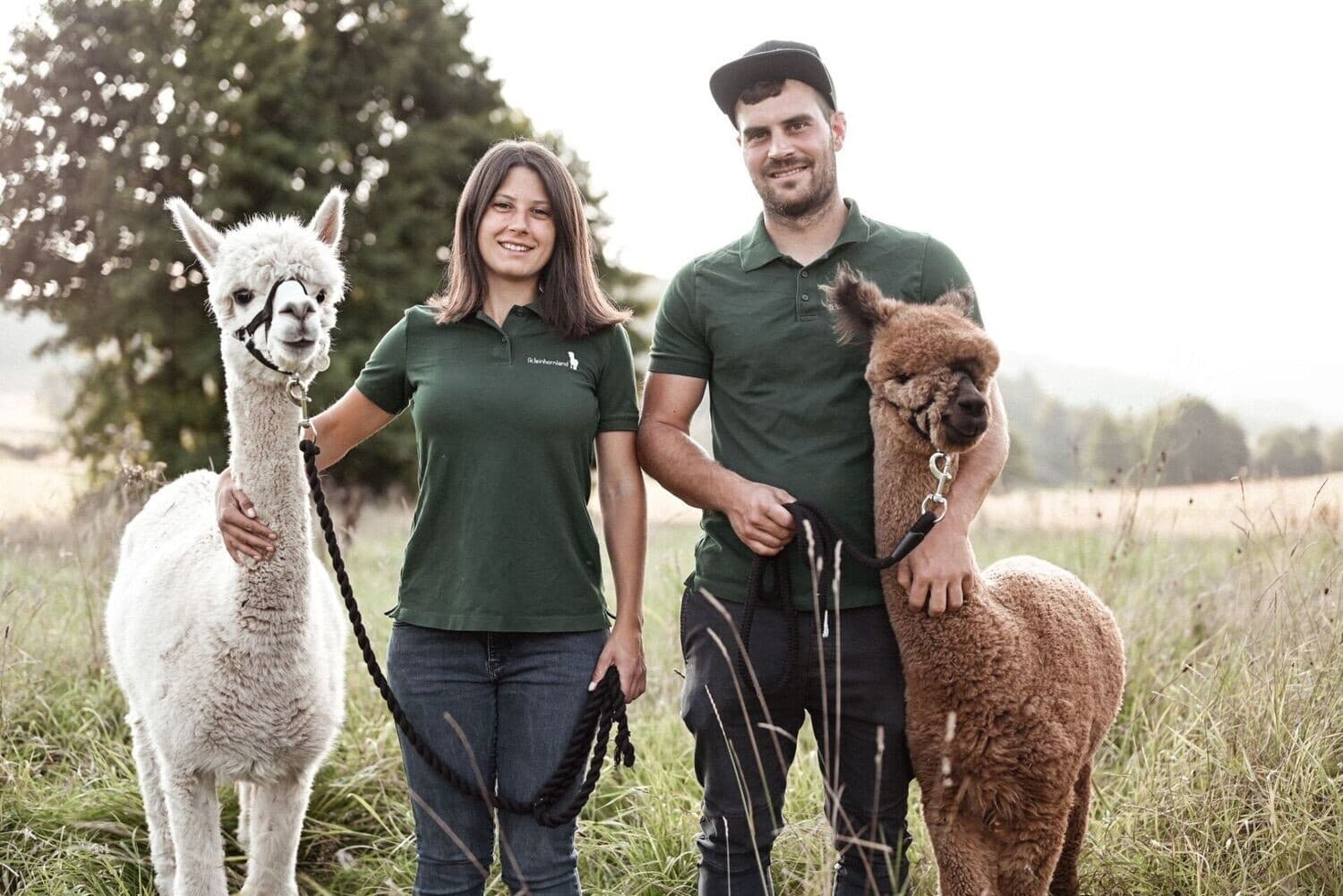 Land Adventures with Alpacas at Keinhornland