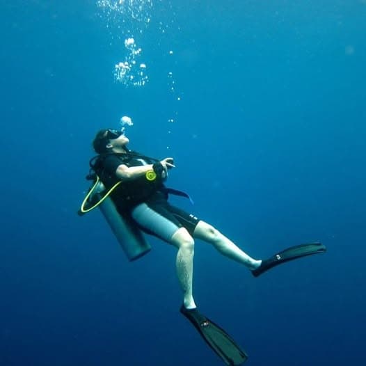 Catalina Open Water Course: Private Shore Diving in Casino Point's Kelp Gardens