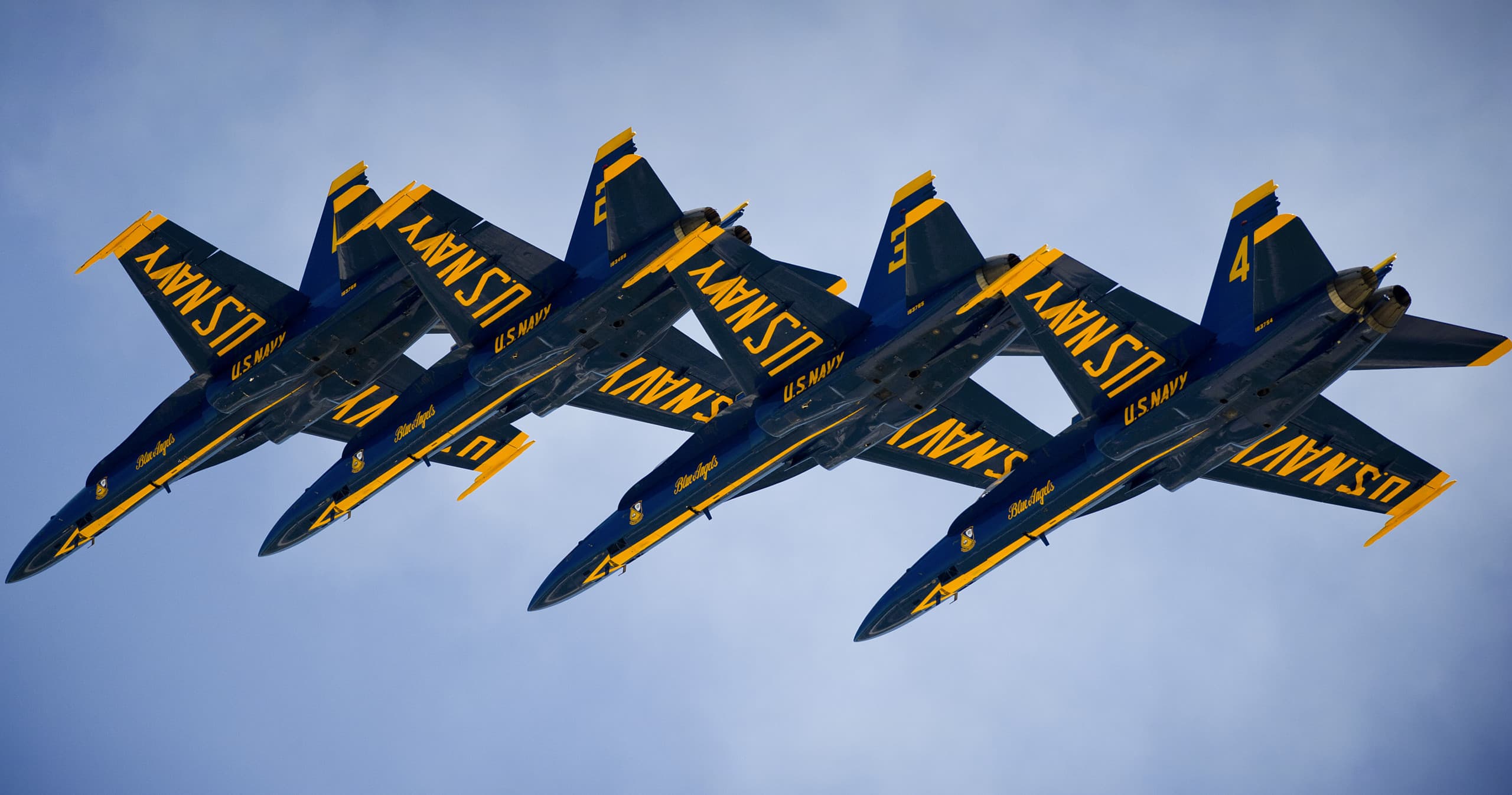 Blue Angels Cruise with Premier Dolphin Cruise of Pensacola