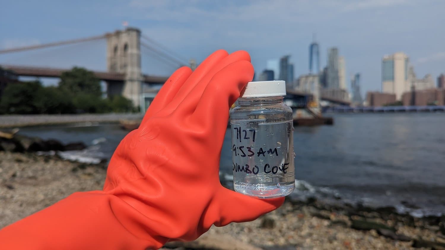 Celebrate Community Science at Hudson River Park’s End of Season Golden Toilet Awards