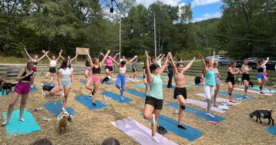 Outdoor Yoga & Animal Encounter at Goat Yoga Bham