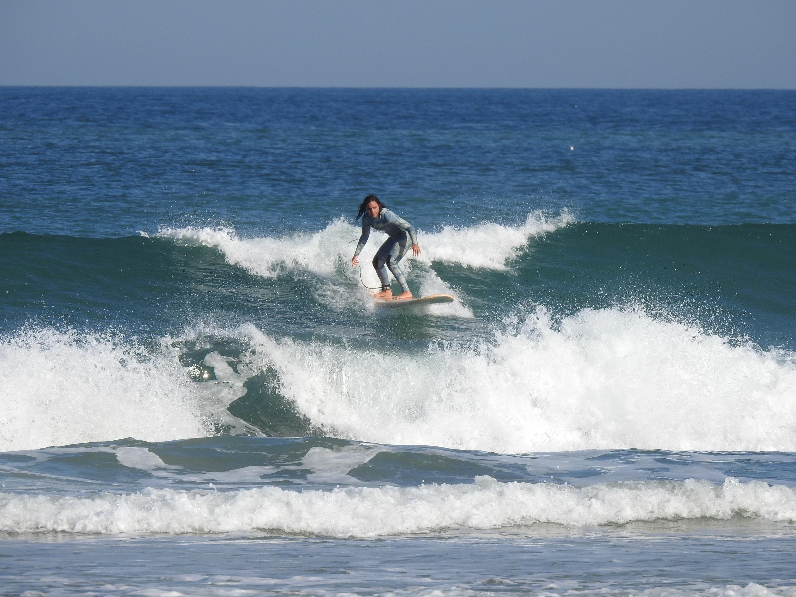 Madeira New Wave fleet