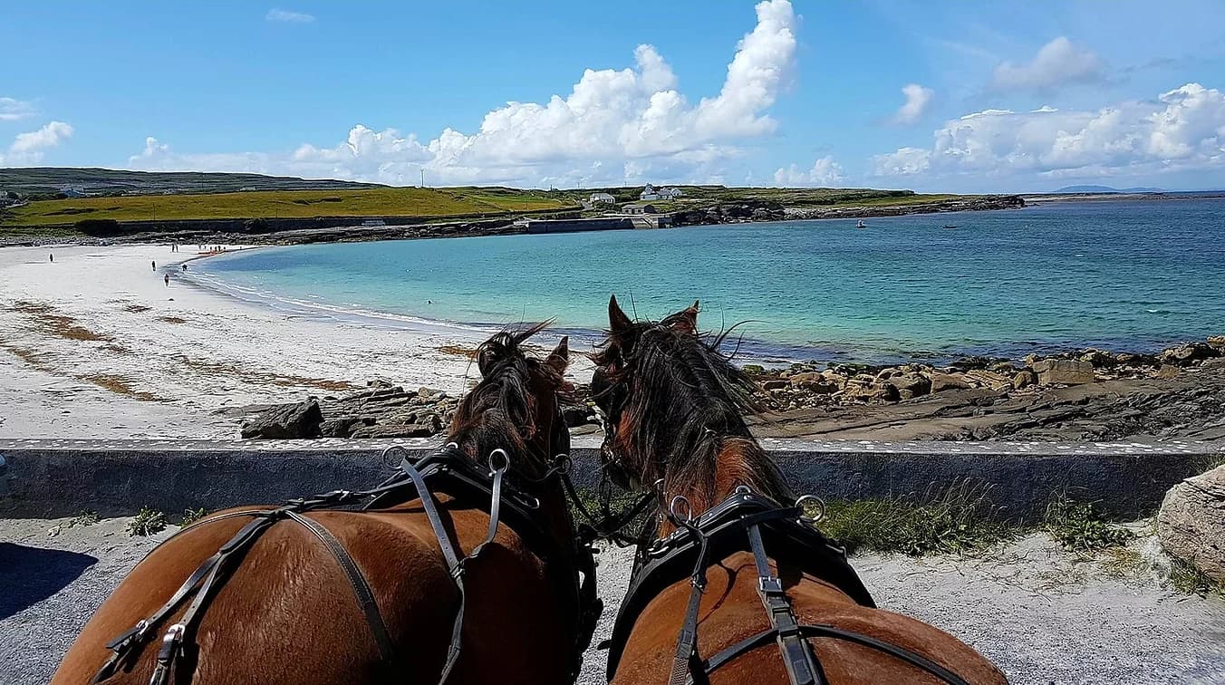 Inis Mór Shared Day Tour with Thomas Faherty Tours