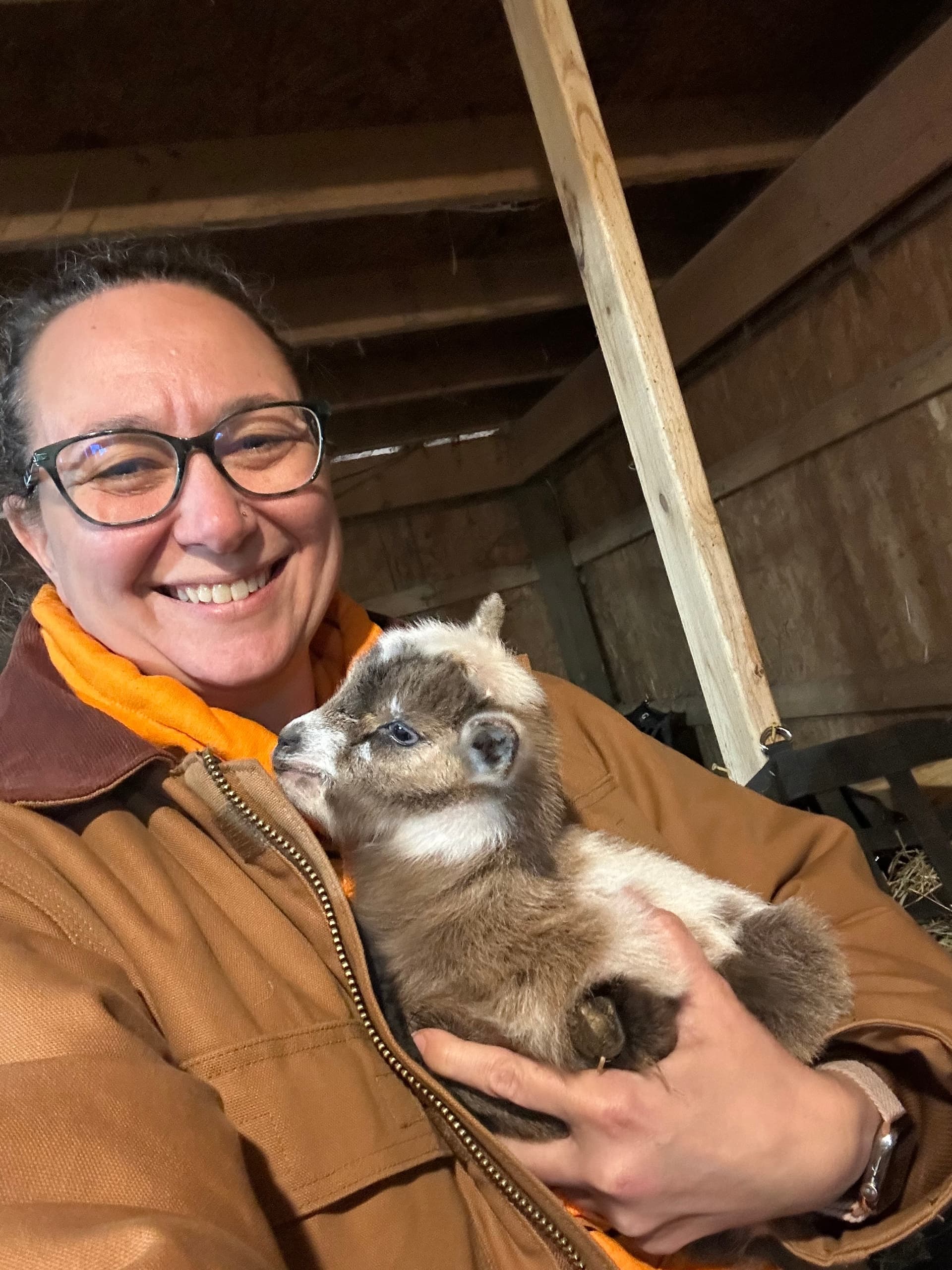 Private Pasture Picnic at Pure Passions Farm: Farm Animal Encounters Near Kent, OH photo 4
