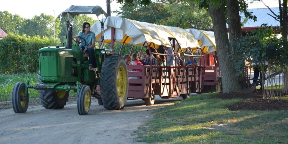 Summer Hayride & Pick Your Own in Medford, NJ