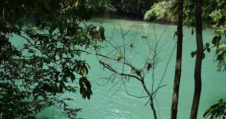 Waterfall & Jungle Swim Adventure with EcoExperiencias Tour Operators