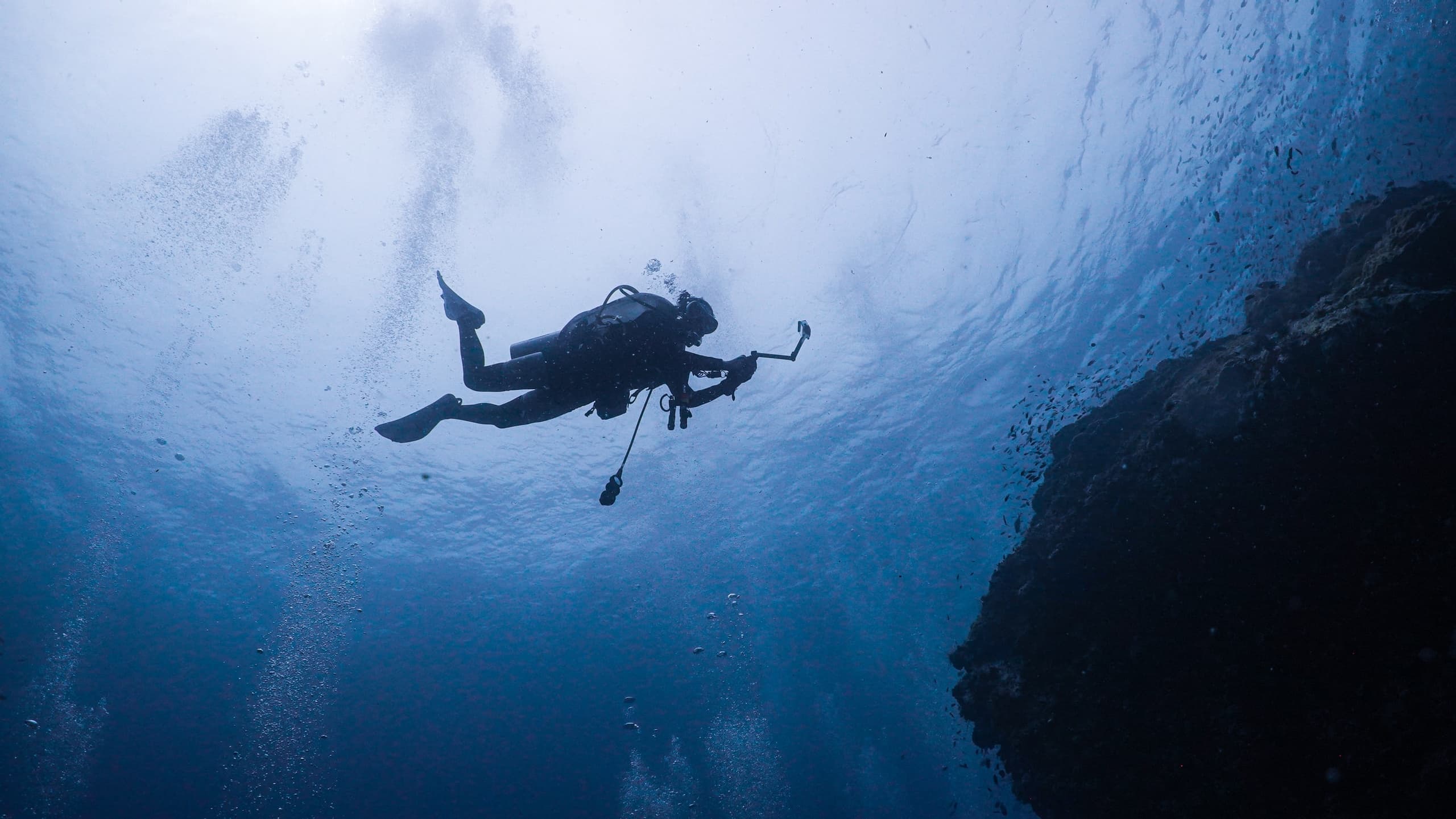 Intro Dive Experience with Medaqua in L'Estartit