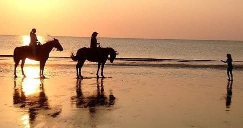 Sunset horseback silhouettes reflecting on wet sand at ocean shore