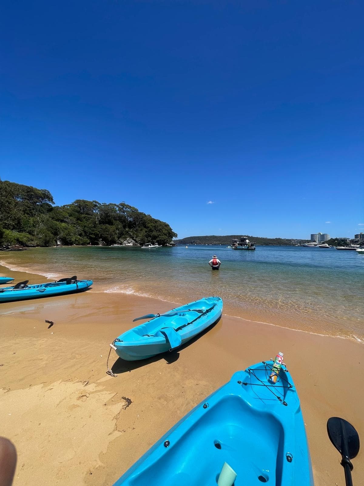 Water Activities & Manly Sailing: Guided Kayak Experience