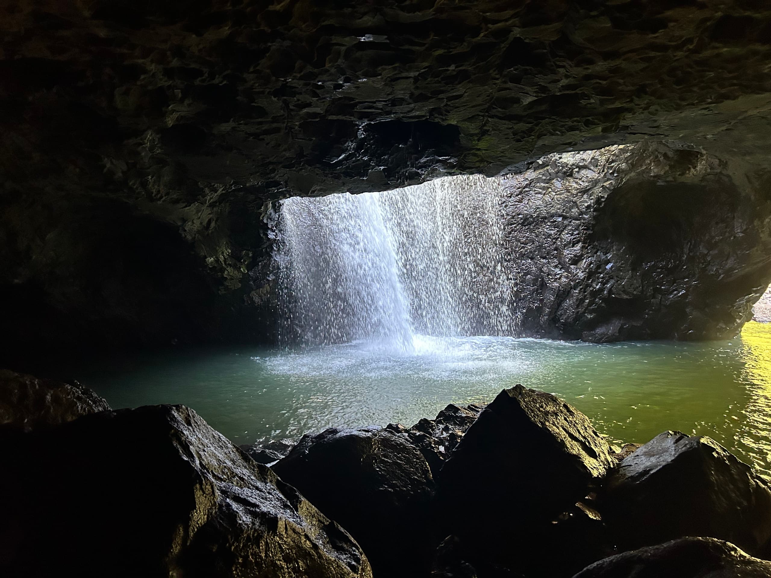 Springbrook & Natural Bridge: Rainforest Waterfalls Day Tour from Gold Coast photo 1