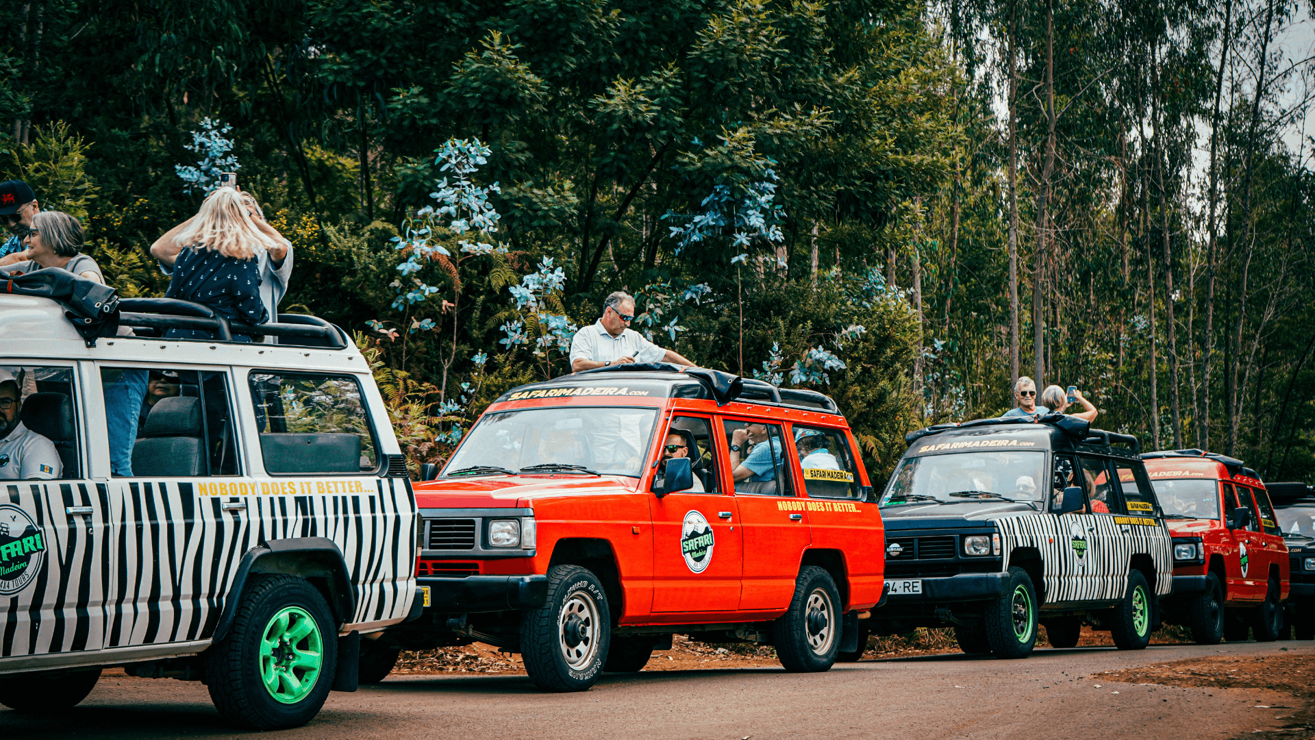 Laurissilva 4x4 Safari with Safari Madeira, Funchal