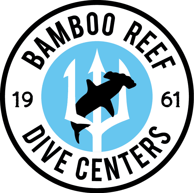 Explore the Bamboo Reef Dive Club in the US