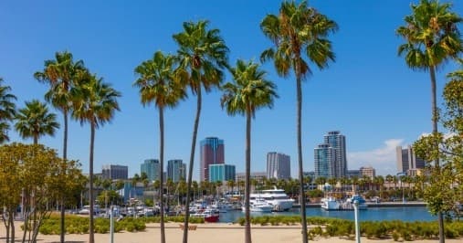 Palm-lined waterfront with Long Beach skyline and harbor view