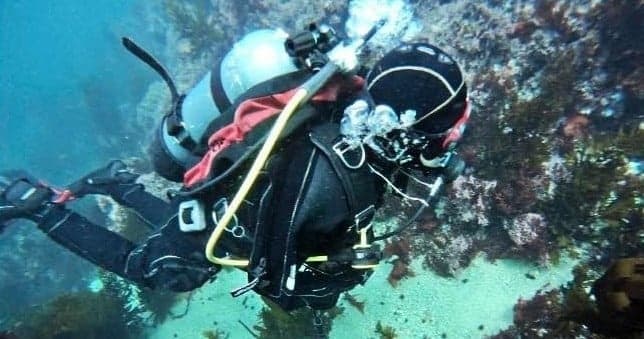 Rent Scuba Gear in Monterey: Cannery Row Pickups for Kelp Forest Dives