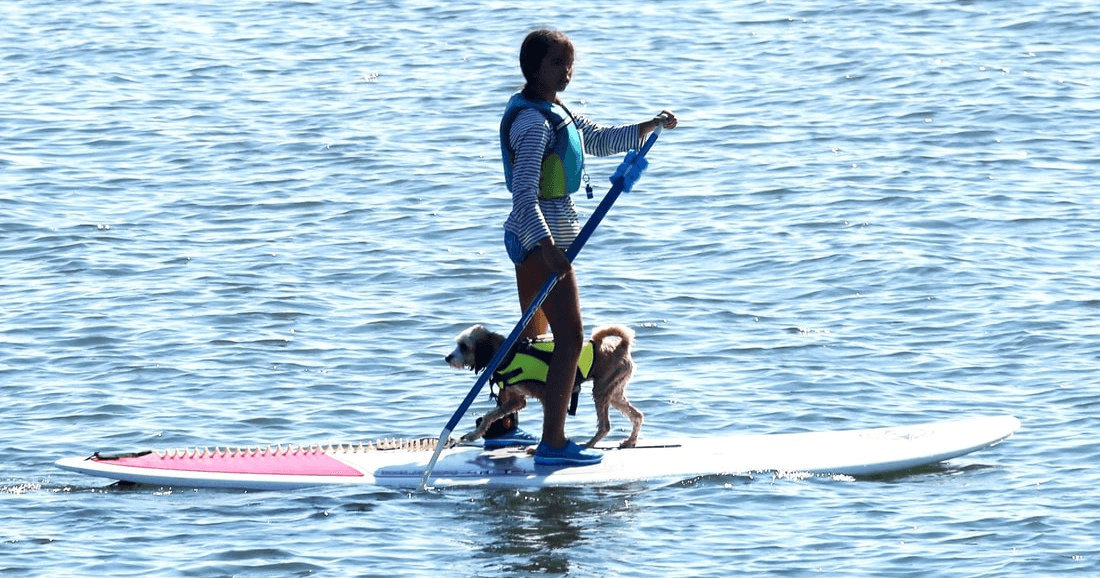 Stand Up Paddleboarding in Westport, Connecticut