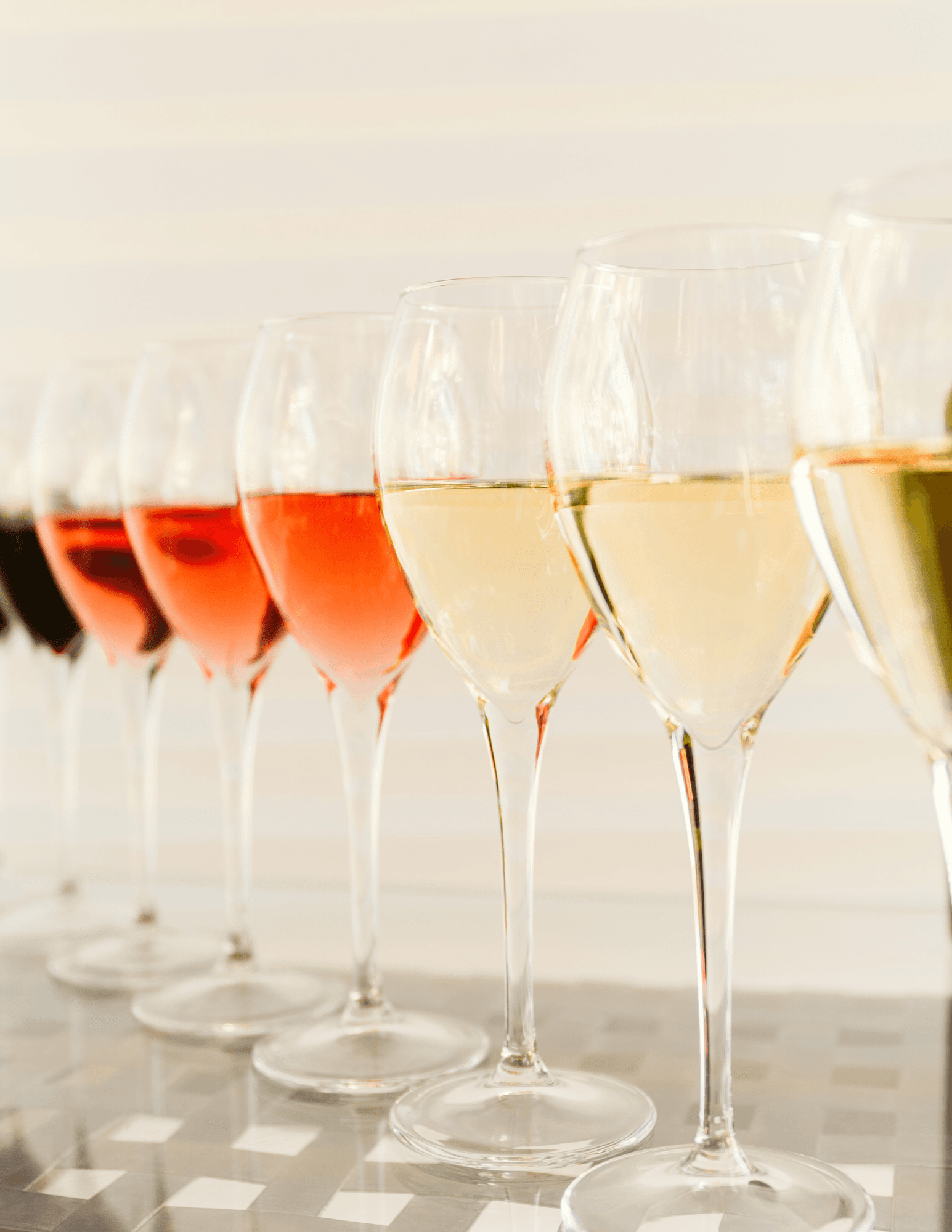 VIP Wine Tasting at Meadow Vista Honey Wines in Kelowna