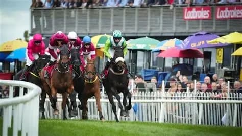 St. Patrick's Day 2026: Coach Transfer to Down Royal Race Course from Larne