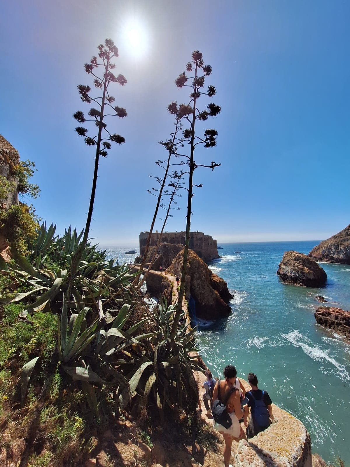 Guided Hike & Cave Tour with Berlengatur in Berlengas