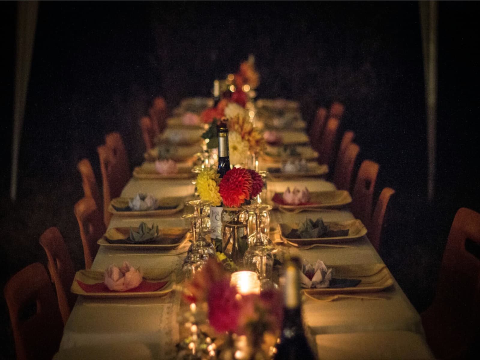 Puglia Vineyard Dinner Experience & Culinary Tour