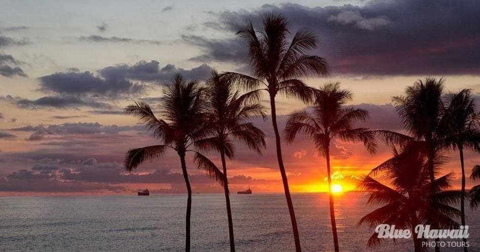 Sunset Photography Tour in Honolulu, Hawaii