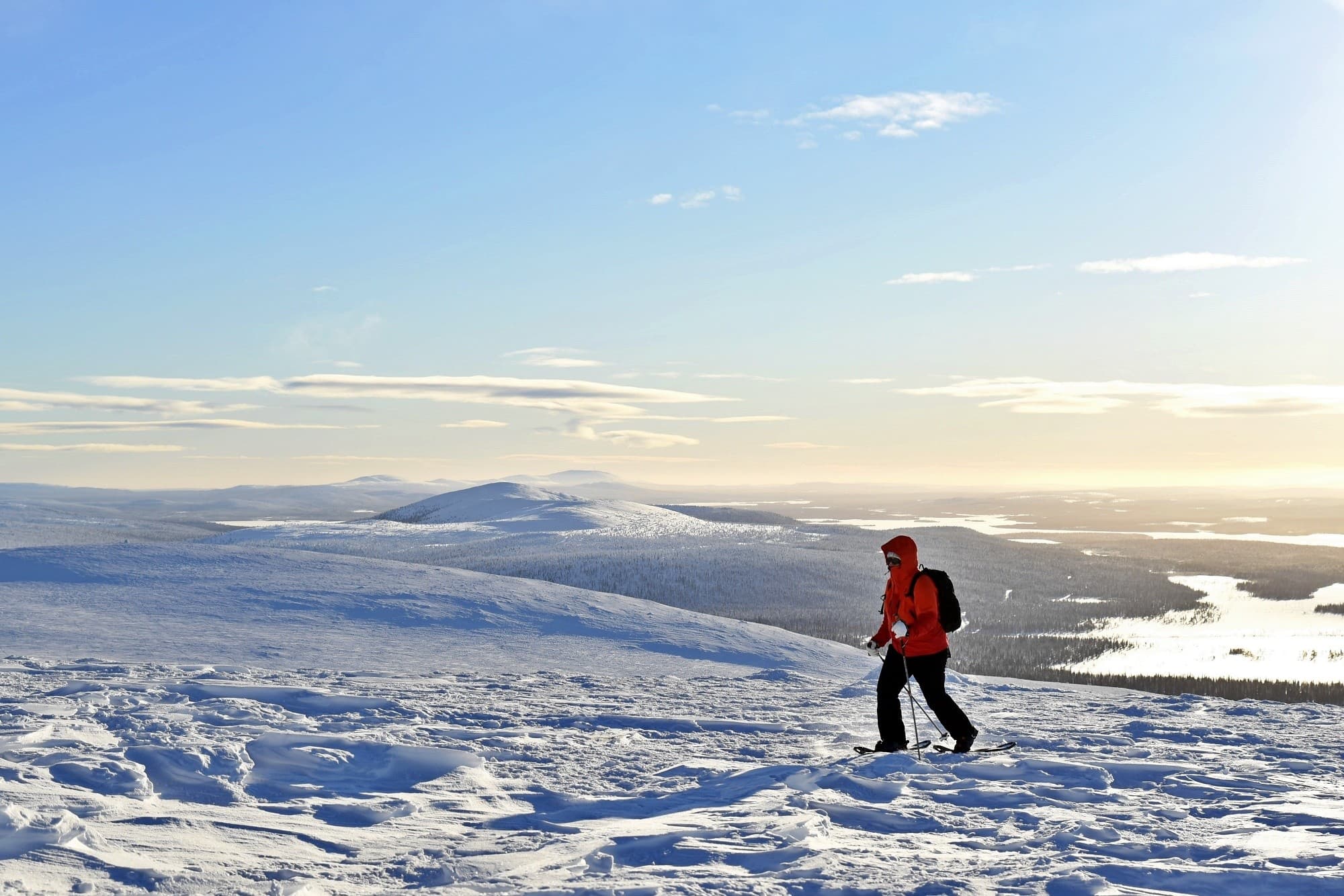 Levi summit snowshoe tour: Fairy Tale Forest & tundra panoramas photo 4