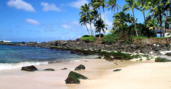 Sandy palm-fringed beach with snorkeling and shore access in Hawaii