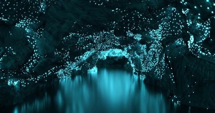 Waitomo Glowworm Caves & Hamilton Gardens Private Tour — Waikato Day Trip from Auckland
