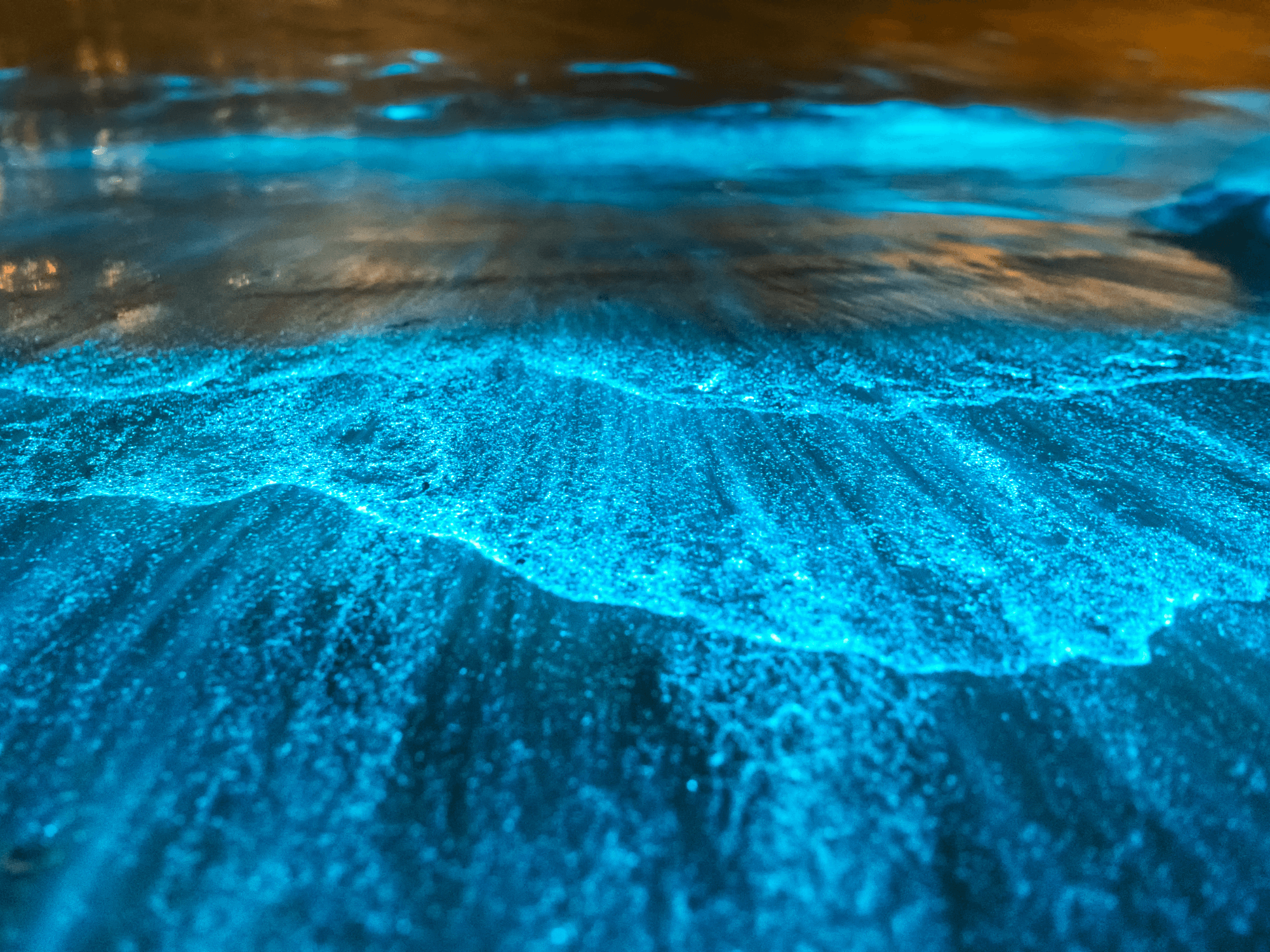 Bioluminescent waves glowing blue along night shore