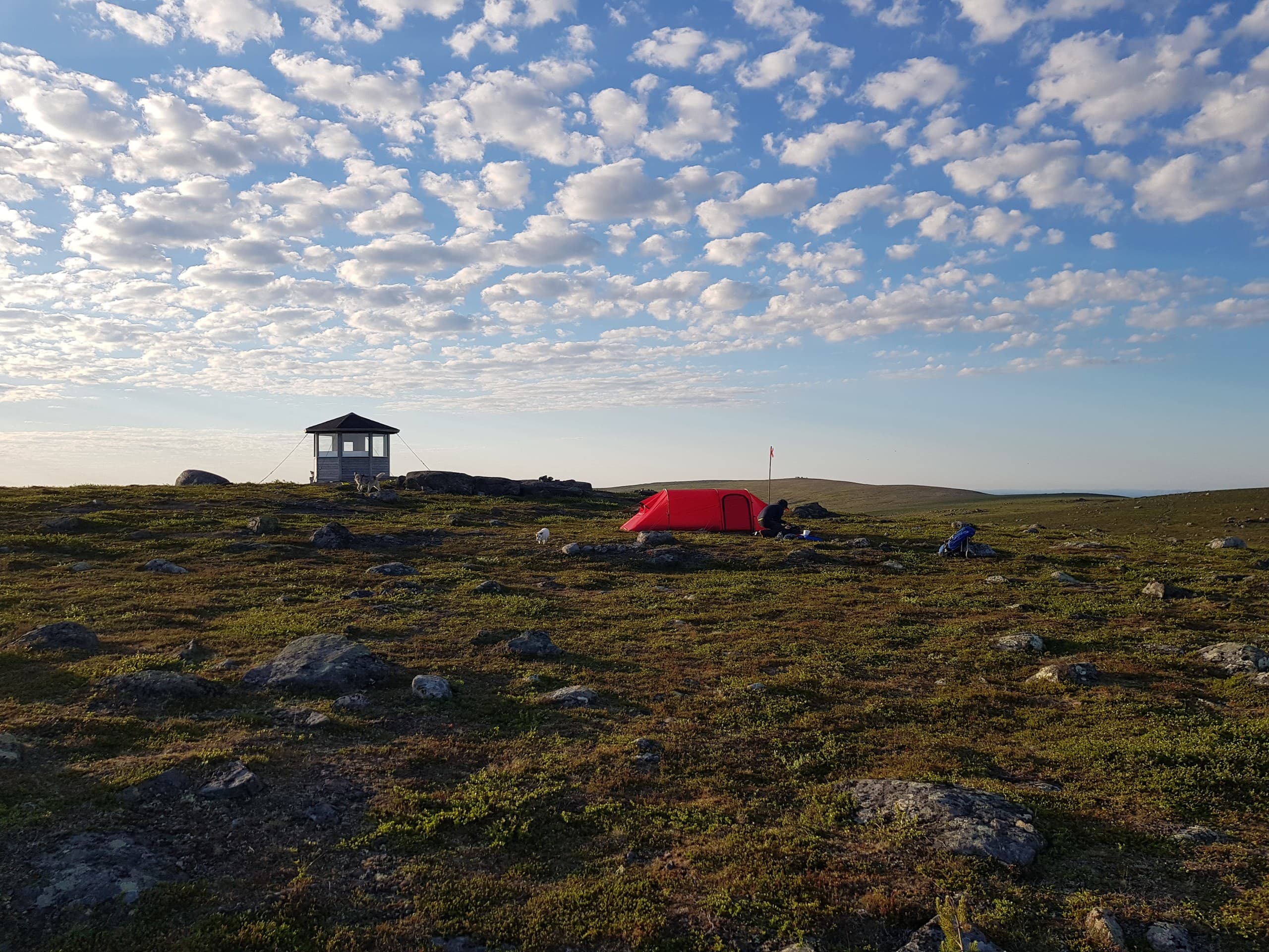 Husky-Led Nature Retreat in Rentjärn, Sweden — 7-Day Mentoring Week photo 2
