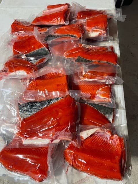 Kenai River Dawn Sockeye: Half-Day AM Guided Salmon Trip photo 2