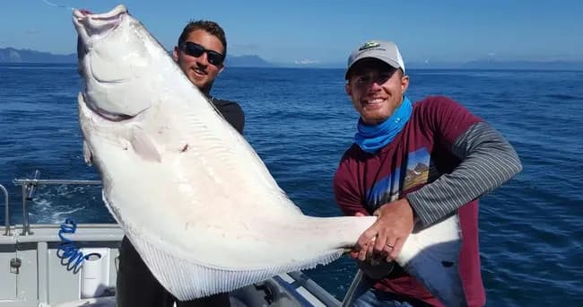 12-Hour Seward Halibut and Rockfish Charter in Resurrection Bay photo 1