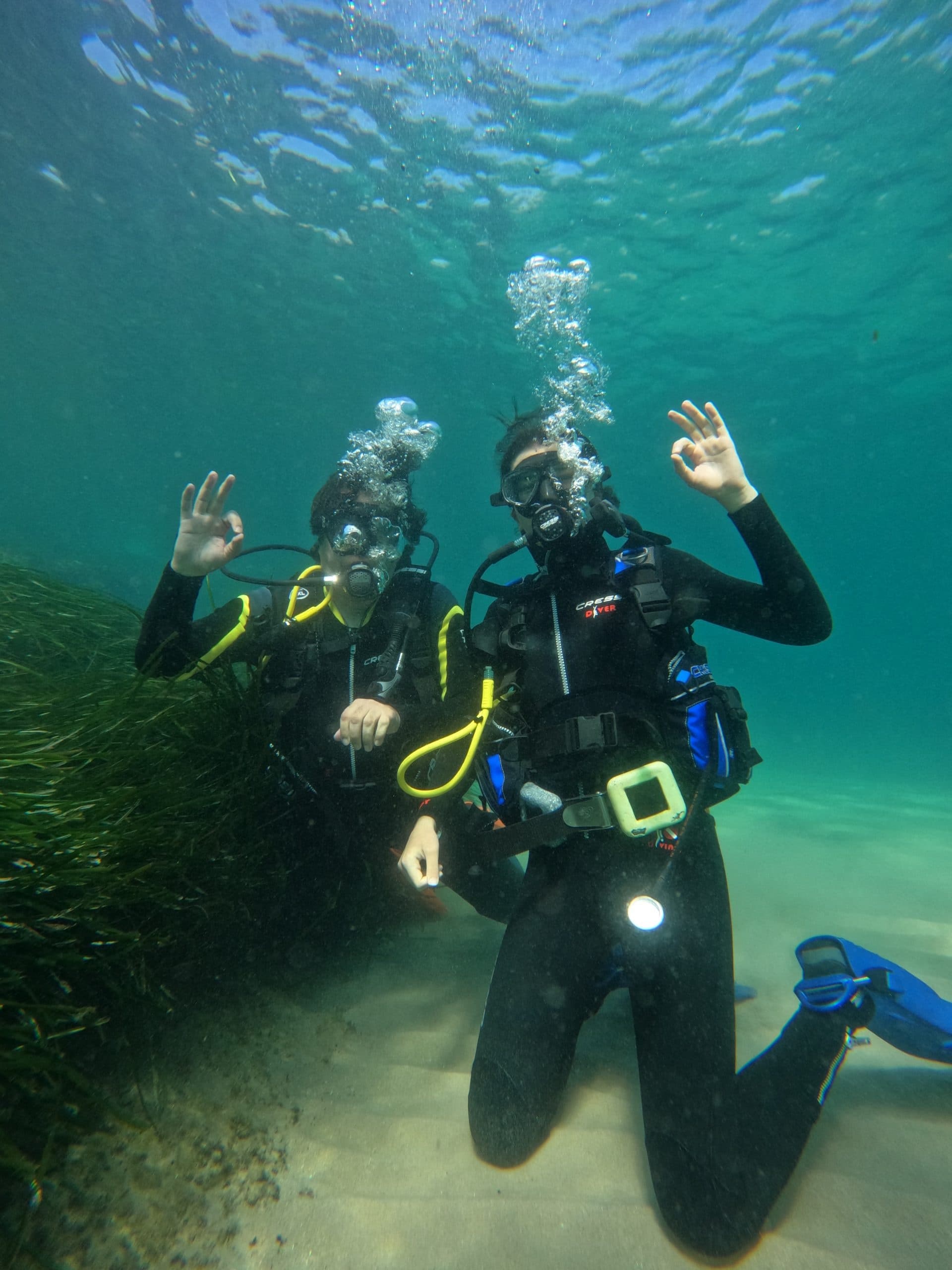 Refresh Diving Skills with Ohana Diving’s Curso Reactivate