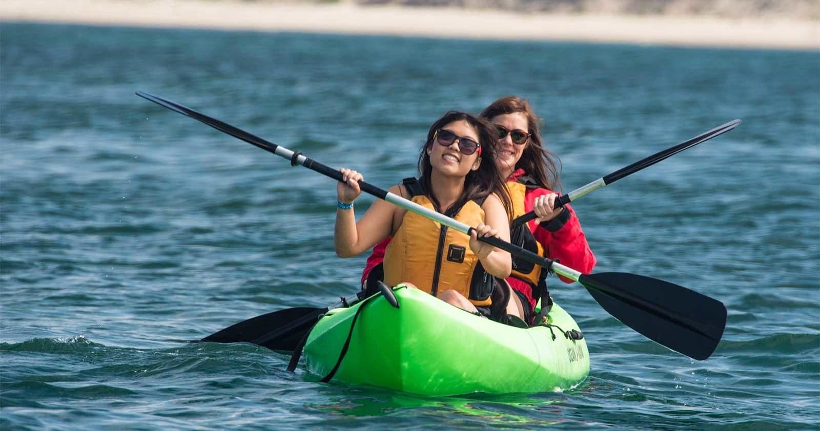 Two kayakers paddling on coastal ocean near sandy shore