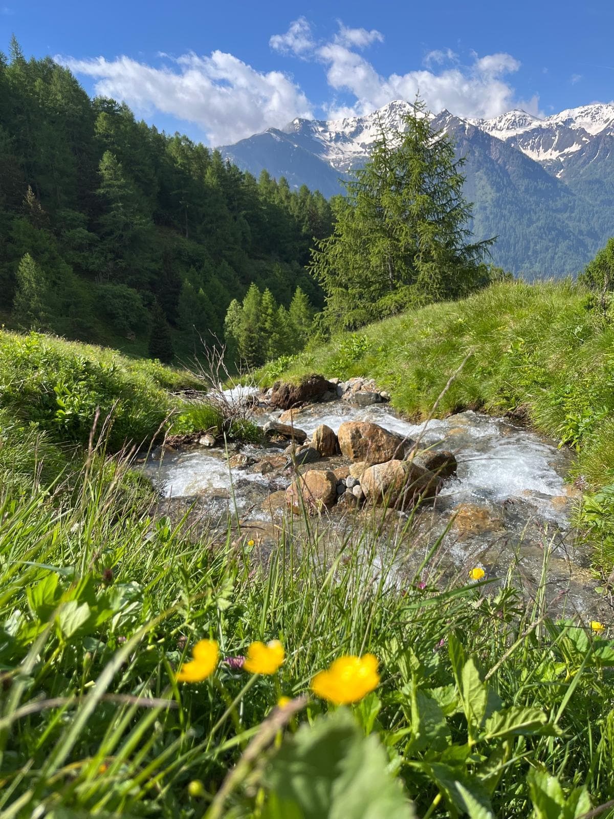 Nature & Wellness: Sorsi di Natura nel Parco by Azienda Turismo Val di Sole