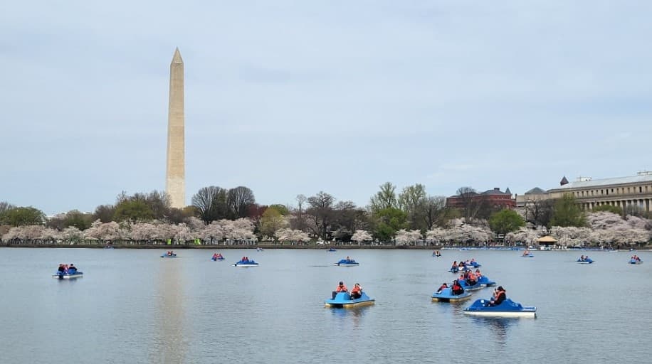 Pedal Boat Rental at Washington's Scenic Tidal Basin