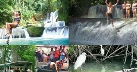 Water Activities & Wildlife Adventures with Scott's Transport & Tours JA