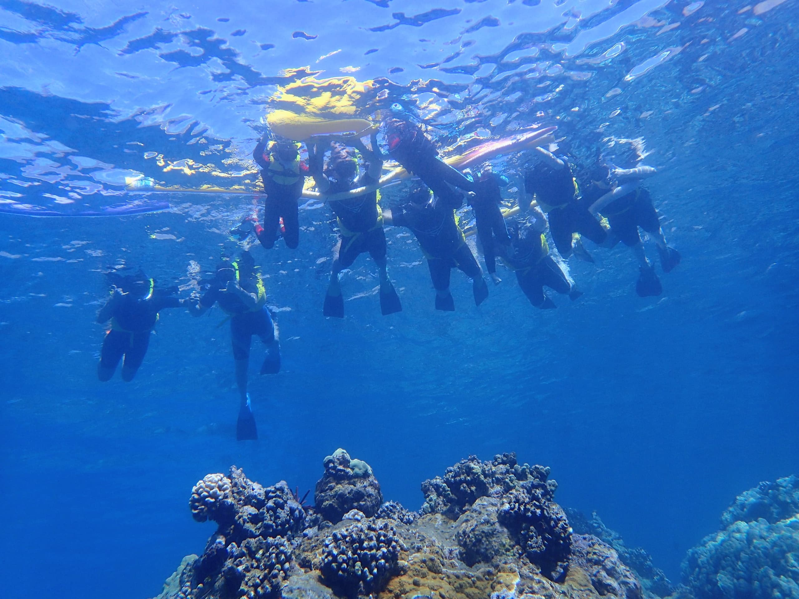 Shore Snorkel with Turtles: Private Maui Tour with Underwater Photos photo 4