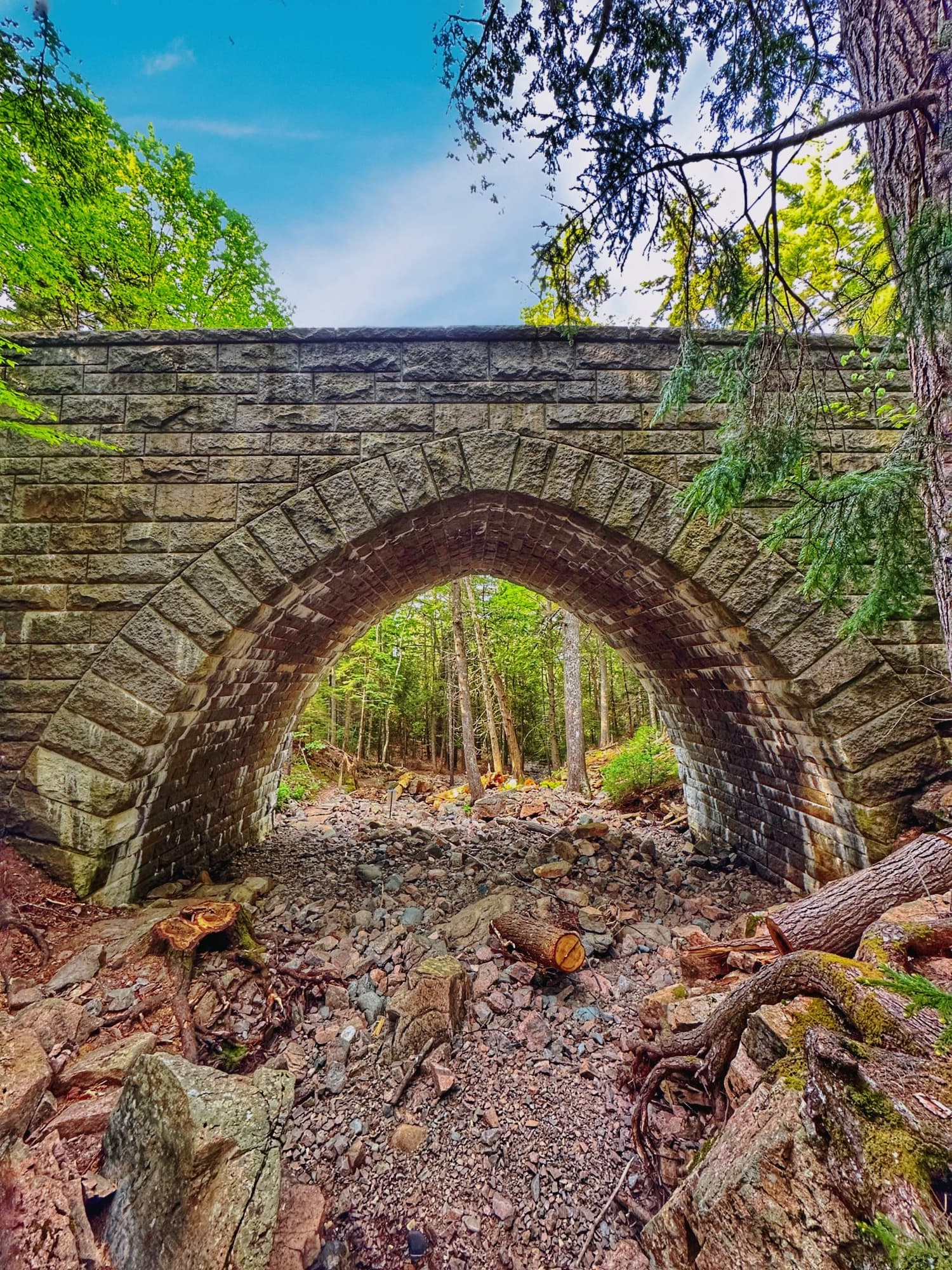 E-Bike Rental at Acadia Outdoor Center: Ride Acadia's Trails