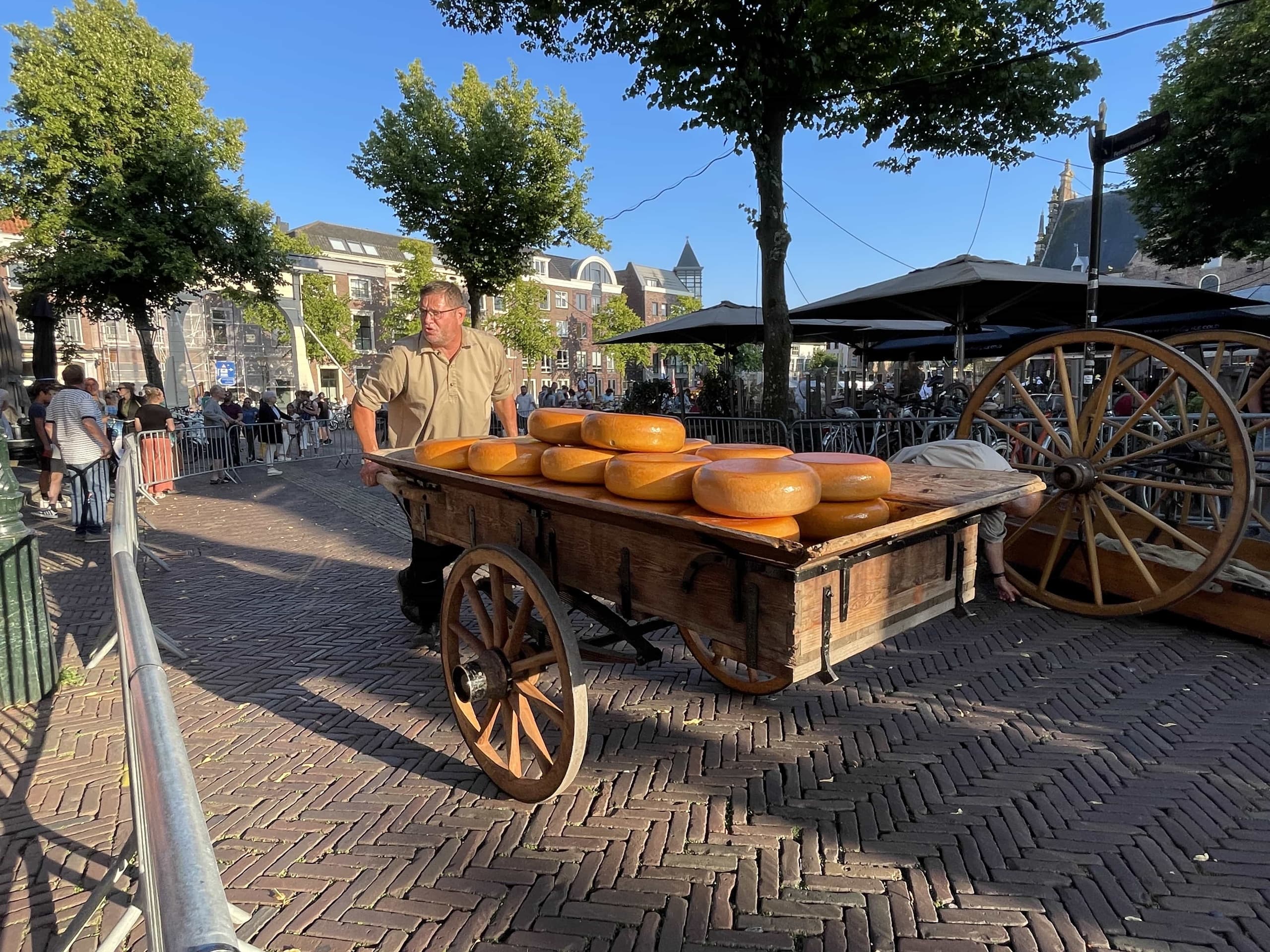 Alkmaar & Edam Cheese Cities Day Trip from Amsterdam photo 3