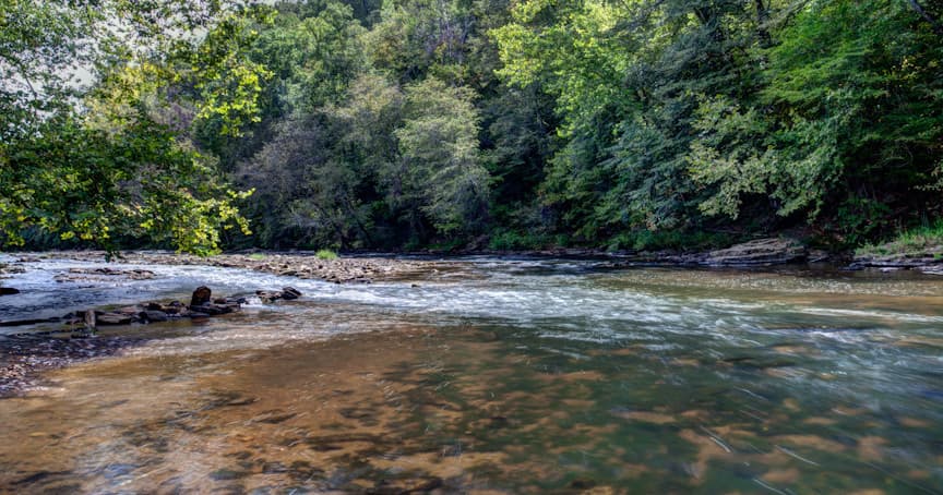 Chestatee River Kayak Rentals in Dahlonega, GA