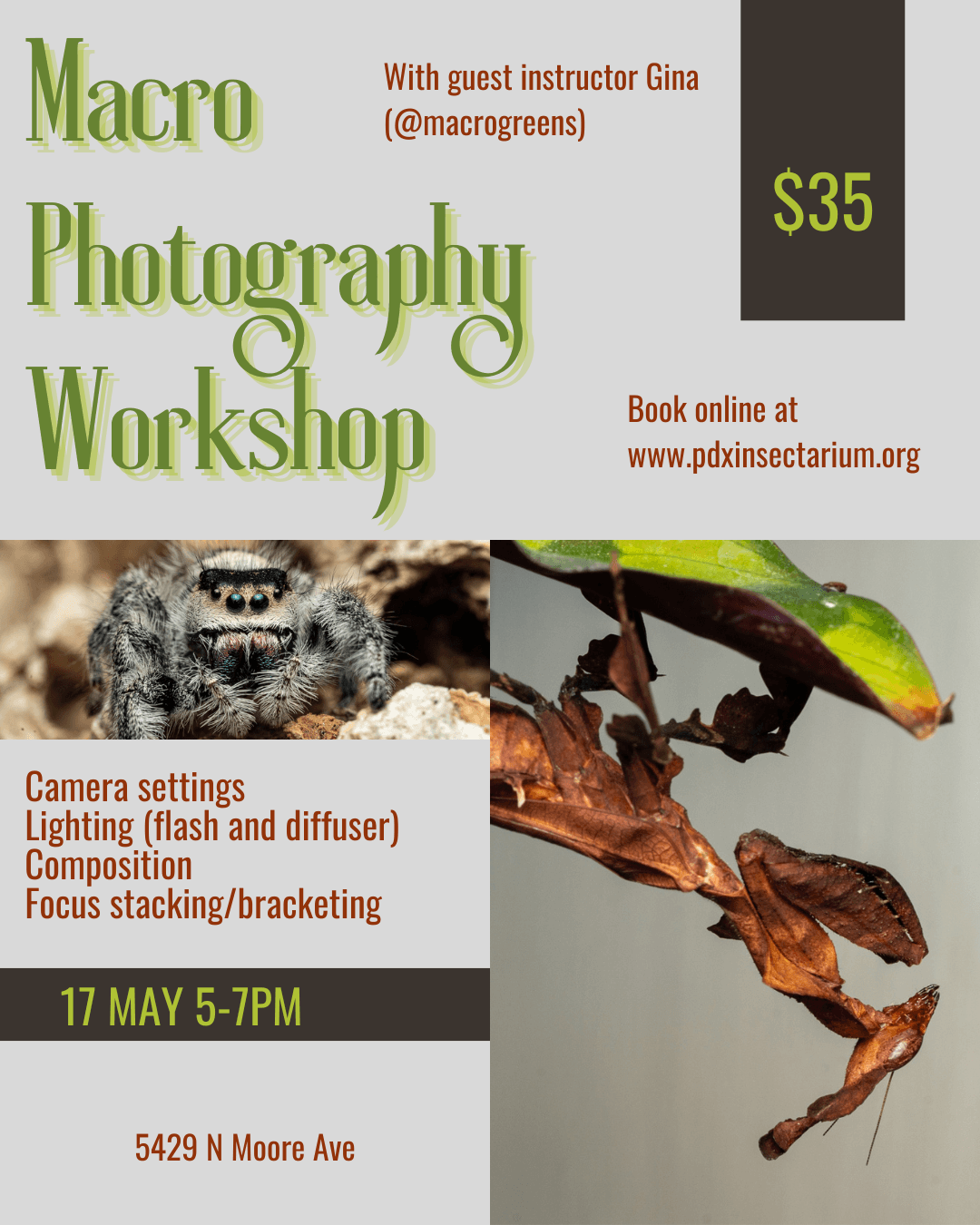 Macro Photography Workshop in Portland, Oregon