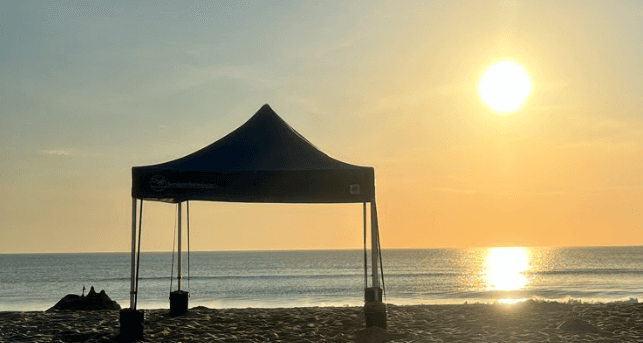 Land Adventures with Sun Ease Rentals in Outdoor Settings
