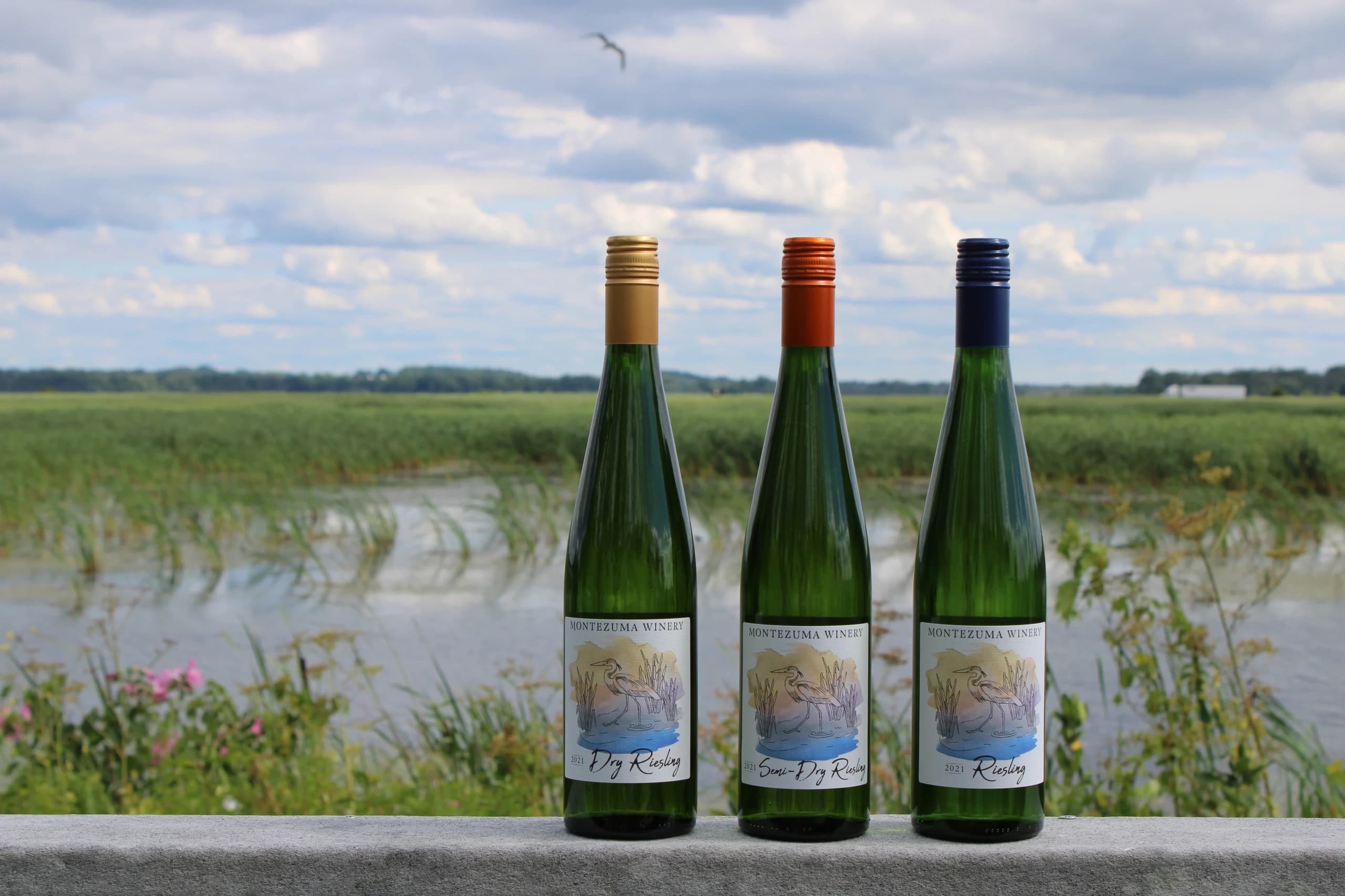 Finger Lakes Wine Tour | Guided Tour in Rochester | Food Tour, Winery, Wine