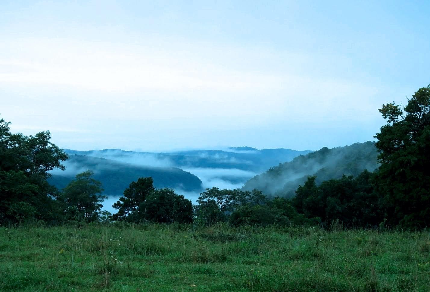 Campsite Adventure with Wilderness Rider Buffalo Ranch in Kingston, Arkansas