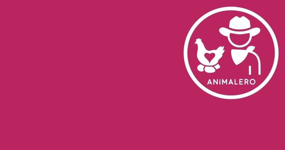 Branded Animalero logo on magenta banner for farm experience marketing