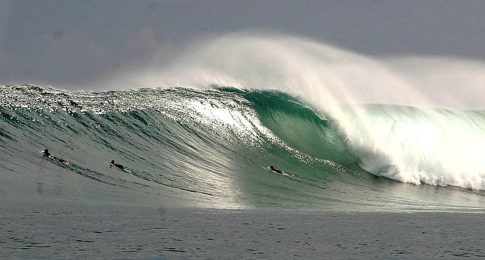 Pine Grove Surf Club fleet