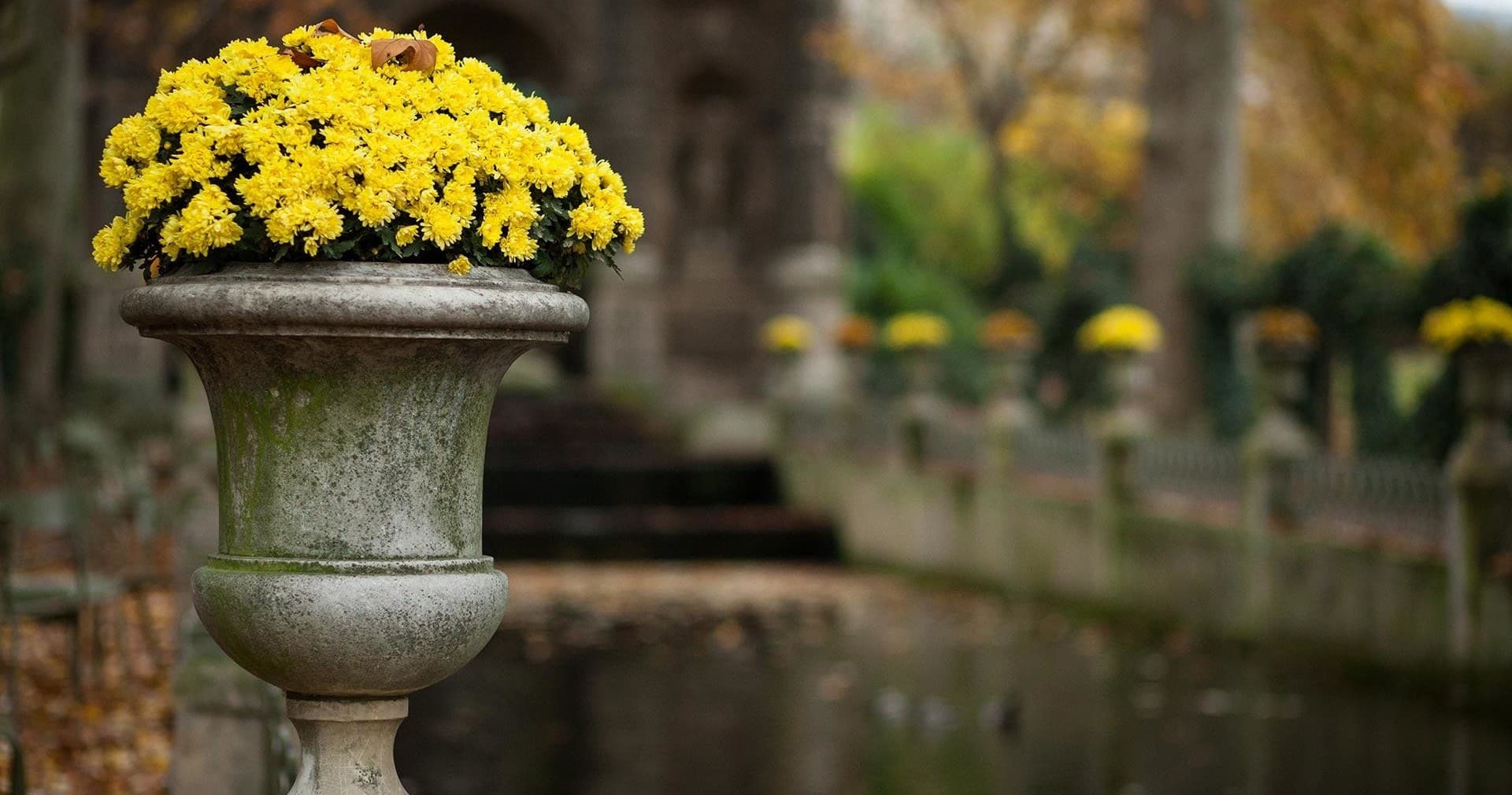 Latin Quarter Walking Tour by Paris in Person